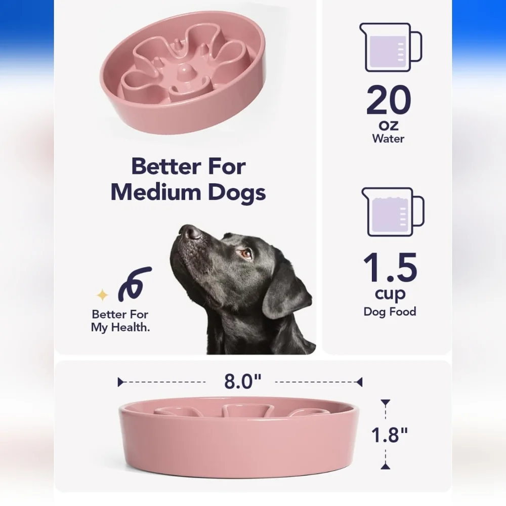 NWOT Pink Slow Feeder Dog Bowl